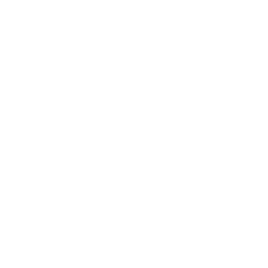Audience Strategies Logo Transparent White - Insight Platforms